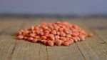 lentil-4160220_960_720